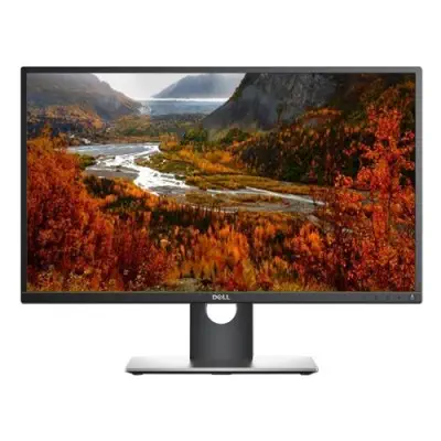 Dell P2017H Monitör