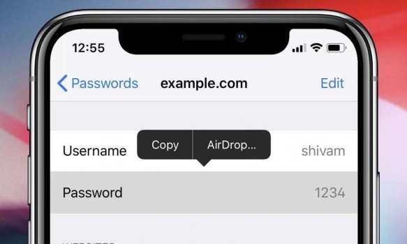 iOS 12’de AirDrop İle Güvenli Şifre Paylaşımı