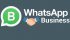 WhatsApp Business, Sonunda iOS Platformuna Geldi