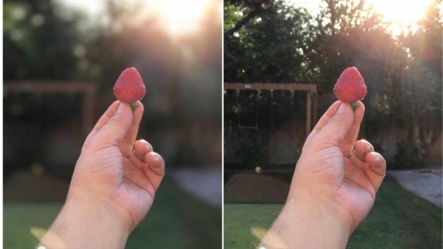 iPhone'nun Plus Modellerindeki "Portre Modu" Ne İşe Yarıyor?
