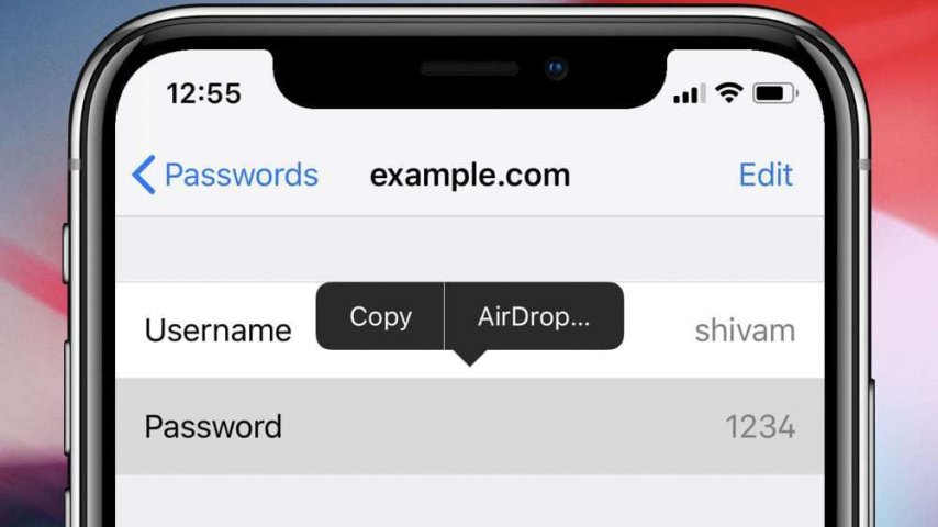 iOS 12’de AirDrop İle Güvenli Şifre Paylaşımı