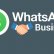 WhatsApp Business, Sonunda iOS Platformuna Geldi