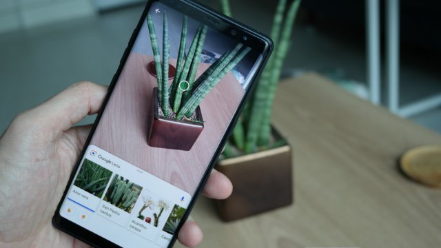 Google Lens, Xiaomi Telefonlara Geldi