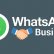 WhatsApp Business iOS Platformuna Geldi