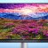 Dell, Dünyanın ilk 4K Monitörünü Tanıttı