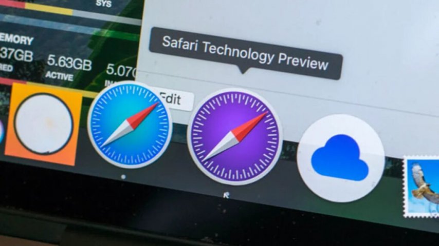 safari 104