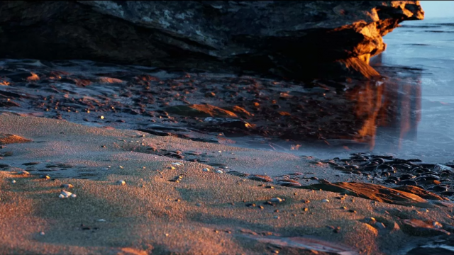 Oyun mu? Gerçek mi?