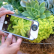 Akıllı Telefonlarda ki Makro Lens Ne İşe Yarıyor?