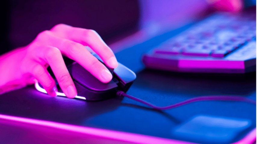 Mouse Neden Donar?