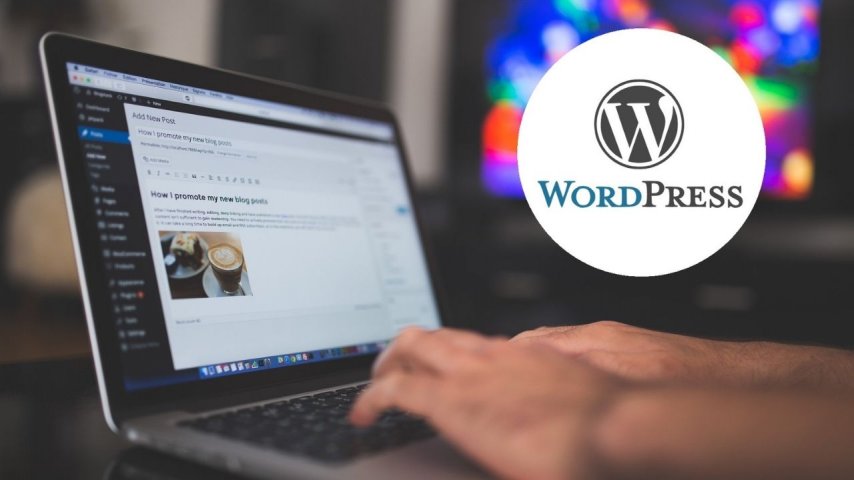 Wordpress Nasıl Düzenlenir?