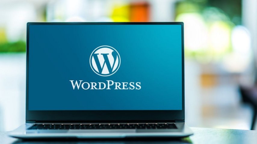 Wordpress Kullanarak e-ticaret Yapılır mı?