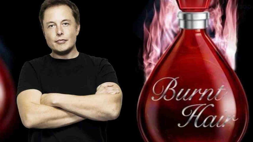 Elon Musk kozmetik işini de el attı! DOGE coinle parfüm satılıyor