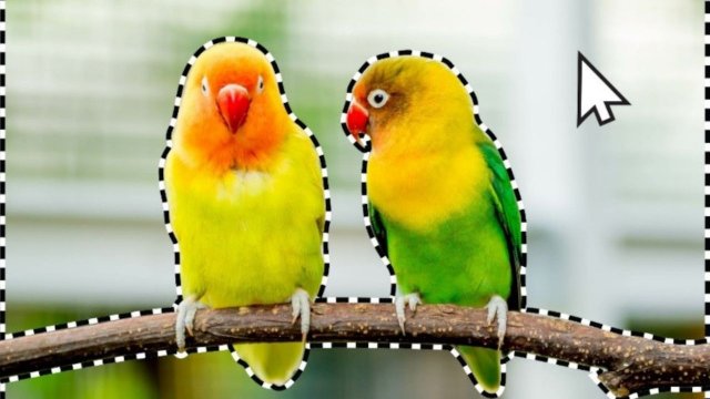 Adobe Photoshop ve Premiere Elements 2024 artık AI destekleyecek