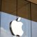 Apple'ın Yeni Devrimi Çok Modlu Dil Modeli: Ferret