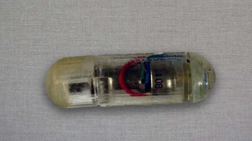 Titreşimli obezite hapı geliştirildi! Beyne sinyal gönderecek