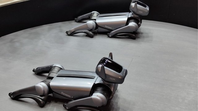 Tecno, AI destekli robot köpeği Dynamic 1'i tanıttı