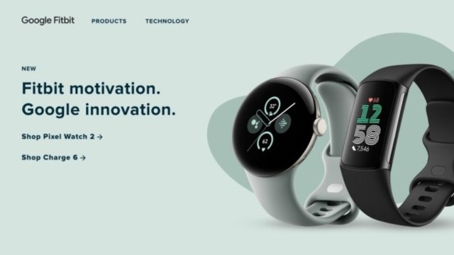 Giyilebilir elektronik markası Fitbit by Google, Google Fitbit oldu