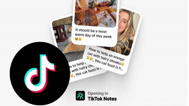 TikTok'un Yeni Hamlesi: Instagram'a Rakip TikTok Notes!
