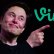 Vine Geri mi Geliyor? Elon Musk'tan Heyecan Verici Sinyal!