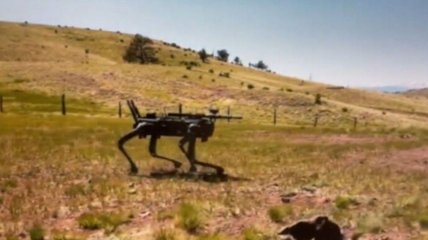 Amerikan ordusu robot köpekleri test etmeye başladı