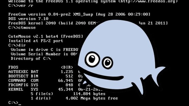 Freedos Laptop Notebook Nedir? Alınır mı (2024)