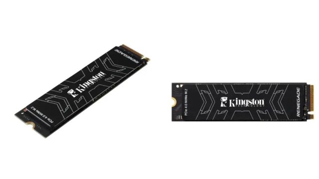 Kingston Renegade SRNGS/1000G 1TB Alınır Mı? Yorumlar ve Uyumluluk