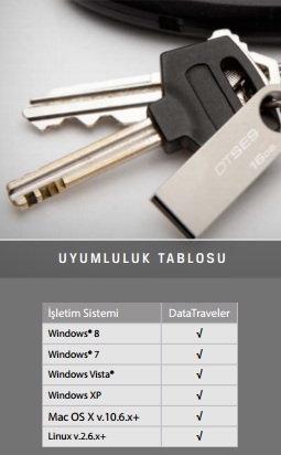 Kingston DTSE9H USB Bellek