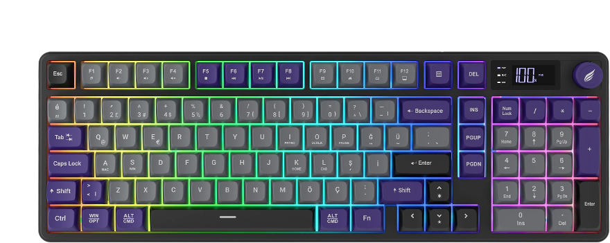 Hawk Gaming HK258GP Membrane LCD RGB Kablosuz Gri Mor Klavye