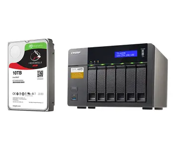 Seagate IronWolf Pro ST10000NE0004 Nas Disk