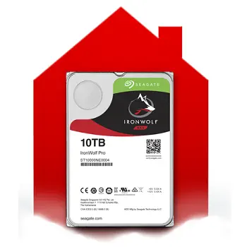 Seagate IronWolf Pro ST10000NE0004 Nas Disk