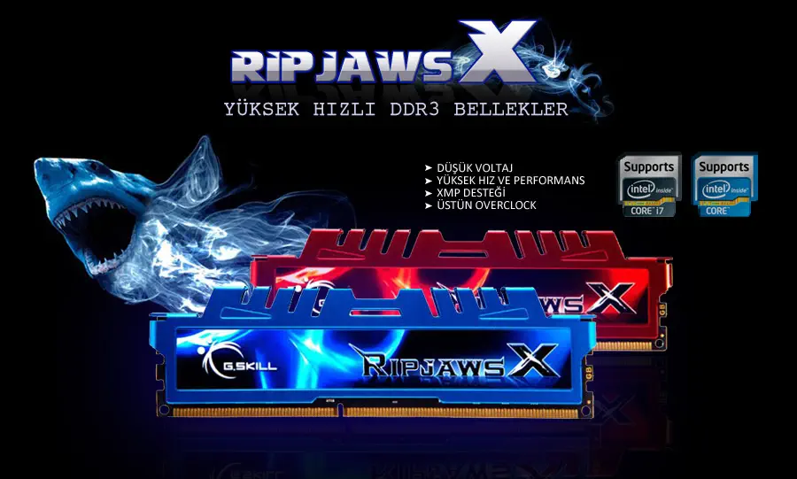 G.Skill RipjawsX F3-10666CL9S-8GBXL Ram