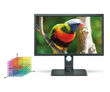 BenQ SW320 Monitör