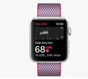 Apple Watch Series 3 GPS, 38mm Gri MR352TU/A