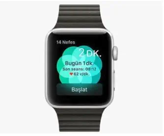 Apple Watch Series 3 GPS, 38mm Gri MR352TU/A