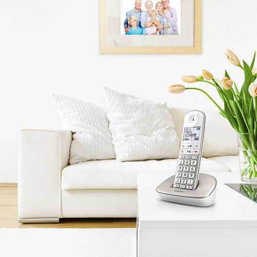 Philips XL4901S Dect 