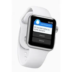 Apple Watch Series 2 38mm Uzay Grisi MP0D2TU/A