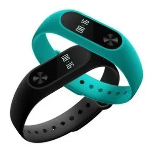 Xiaomi Mi Band 2 Akıllı Bileklik