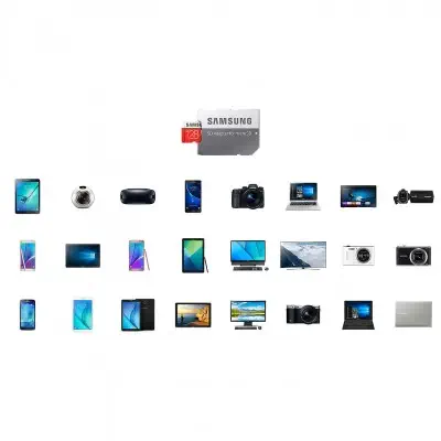 Samsung Evo Plus 256 GB MB-MC256GA/EU
