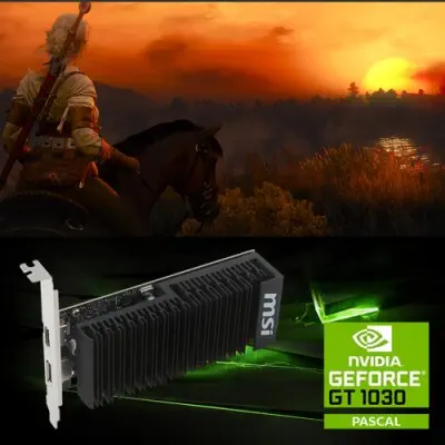 MSI GeForce GT 1030 2GH LP OC Ekran Kartı