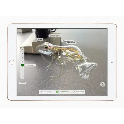 Apple iPad 2018 32GB Wi-Fi + Cellular Uzay Grisi MR6N2TU/A Tablet