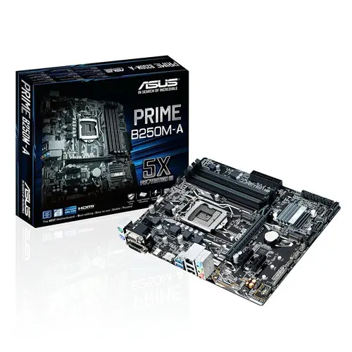 ASUS Prime B250M-A mATX Gaming (Oyuncu) Anakart