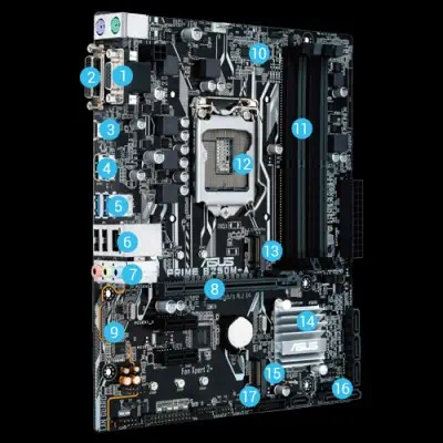 ASUS Prime B250M-A mATX Gaming (Oyuncu) Anakart