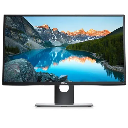 Dell P2017H Monitör