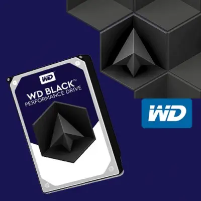 WD Black WD6002FZWX Harddisk