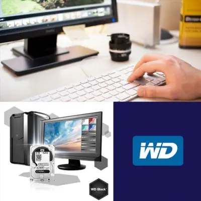WD Black WD6002FZWX Harddisk