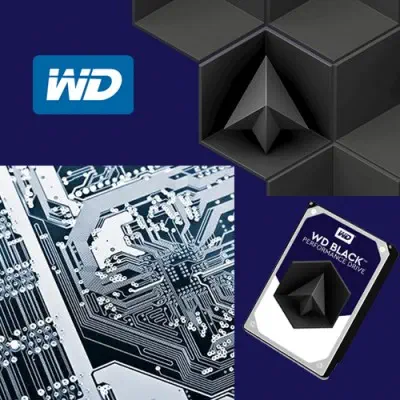 WD Black WD6002FZWX Harddisk