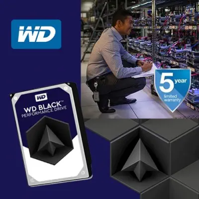 WD Black WD6002FZWX Harddisk
