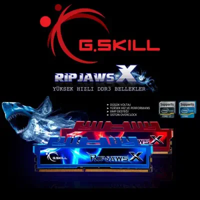 G.Skill RipjawsX F3-1600C9D-16GXM Ram