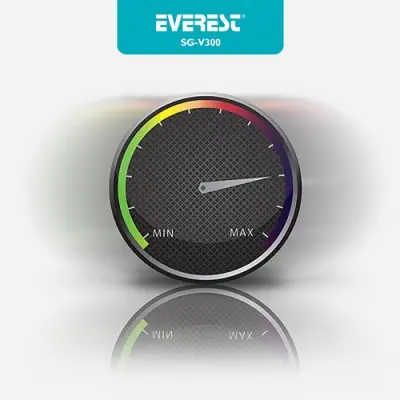 Everest SG-V300 Modem