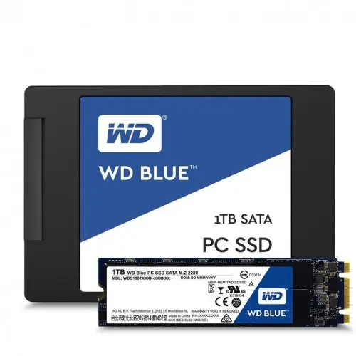 WD Blue 1TB M.2 SSD Disk- WDS100T2B0B 